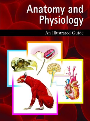 cover image of Anatomy and Physiology